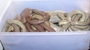 庄园食府
